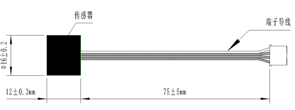 UM0009-SIZE.png